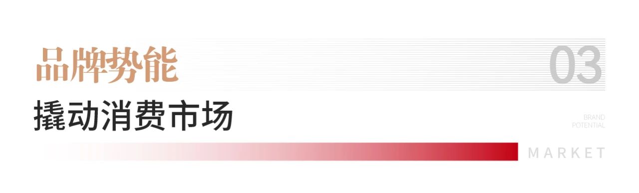 微信圖片_20240613160125.jpg